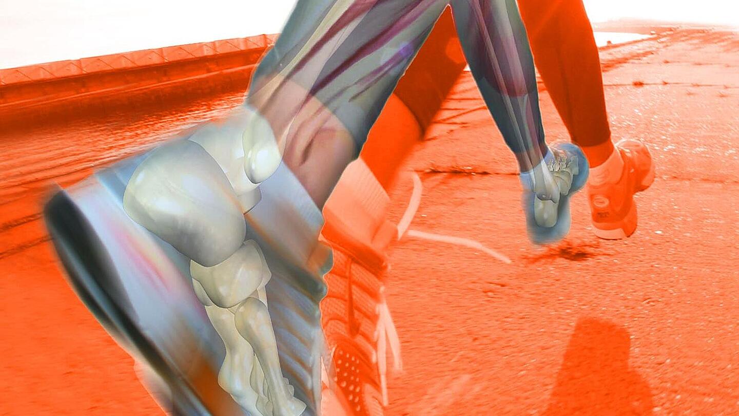 Stilisierte Person mit Muskelgruppen beim Laufen